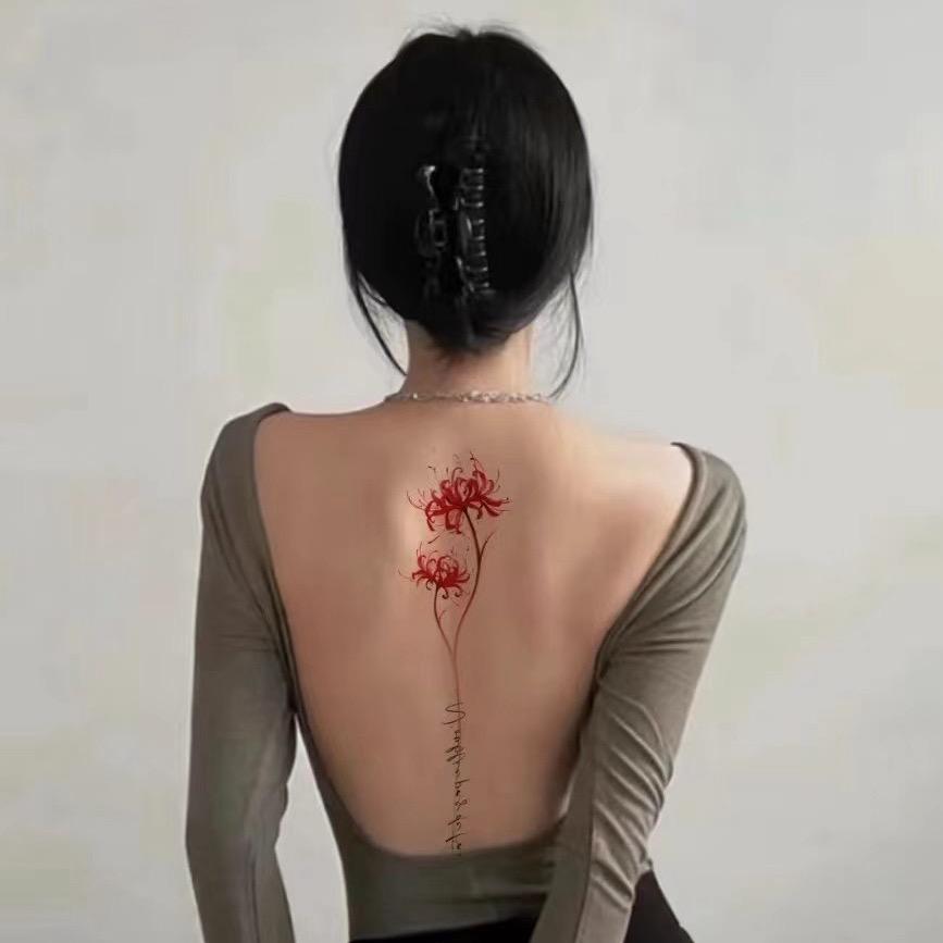 呆小布💤