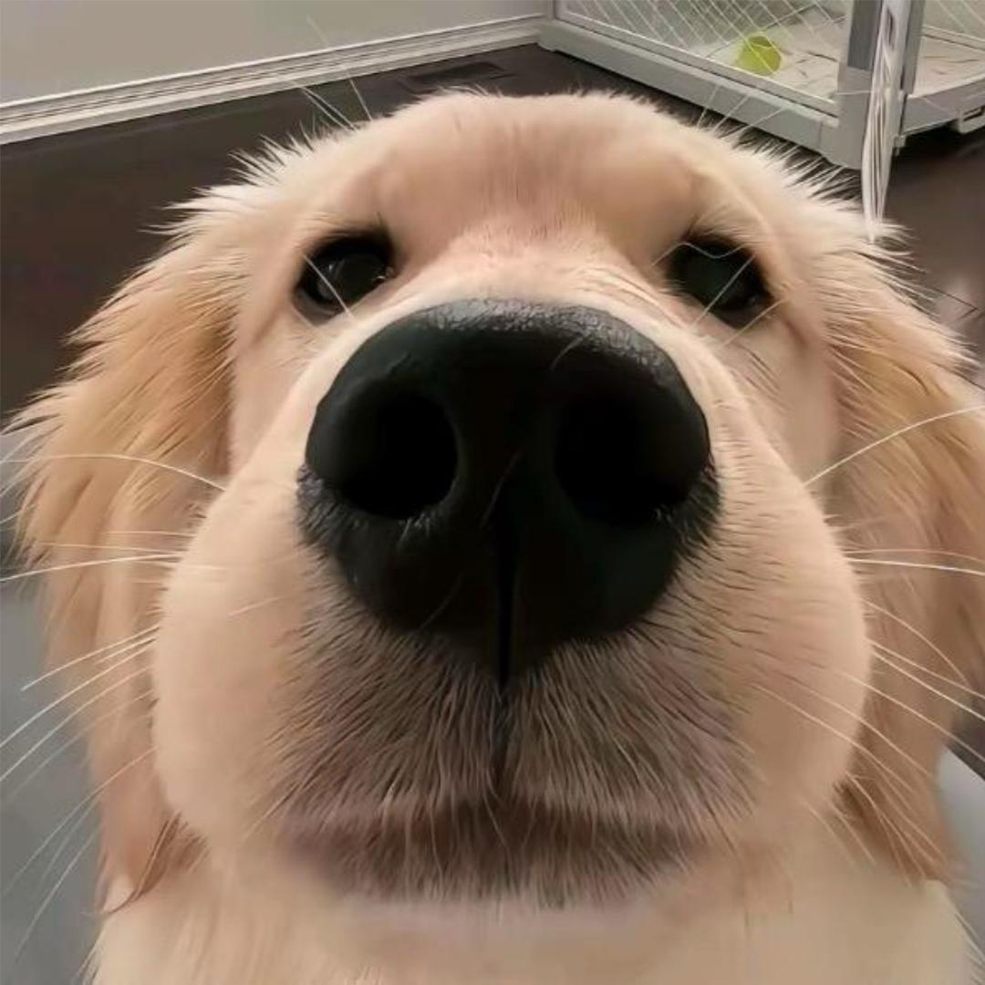 初见💤
