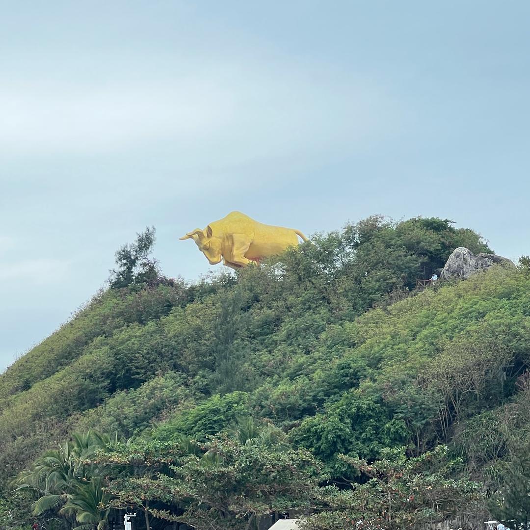 好奈斯