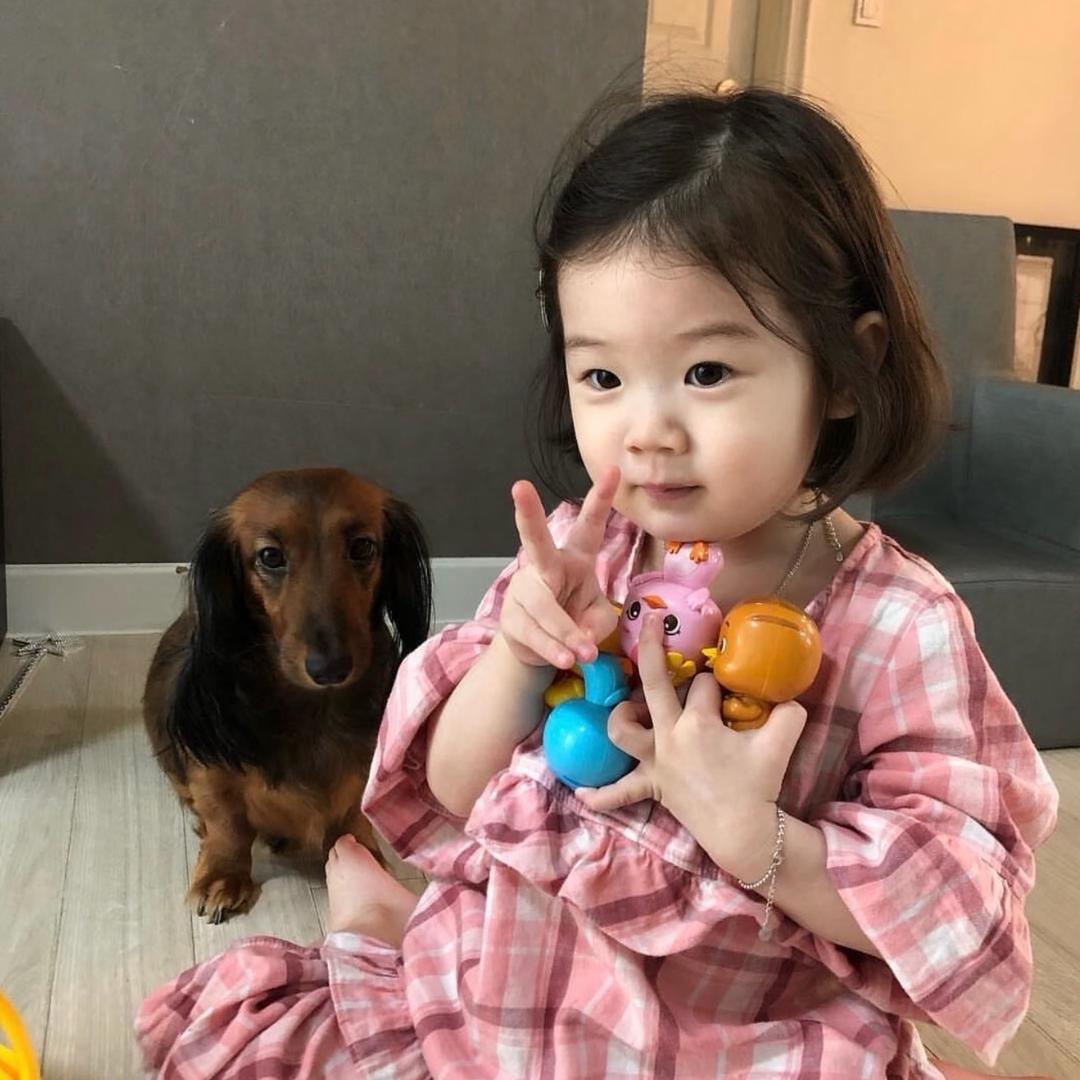 不要烦我了