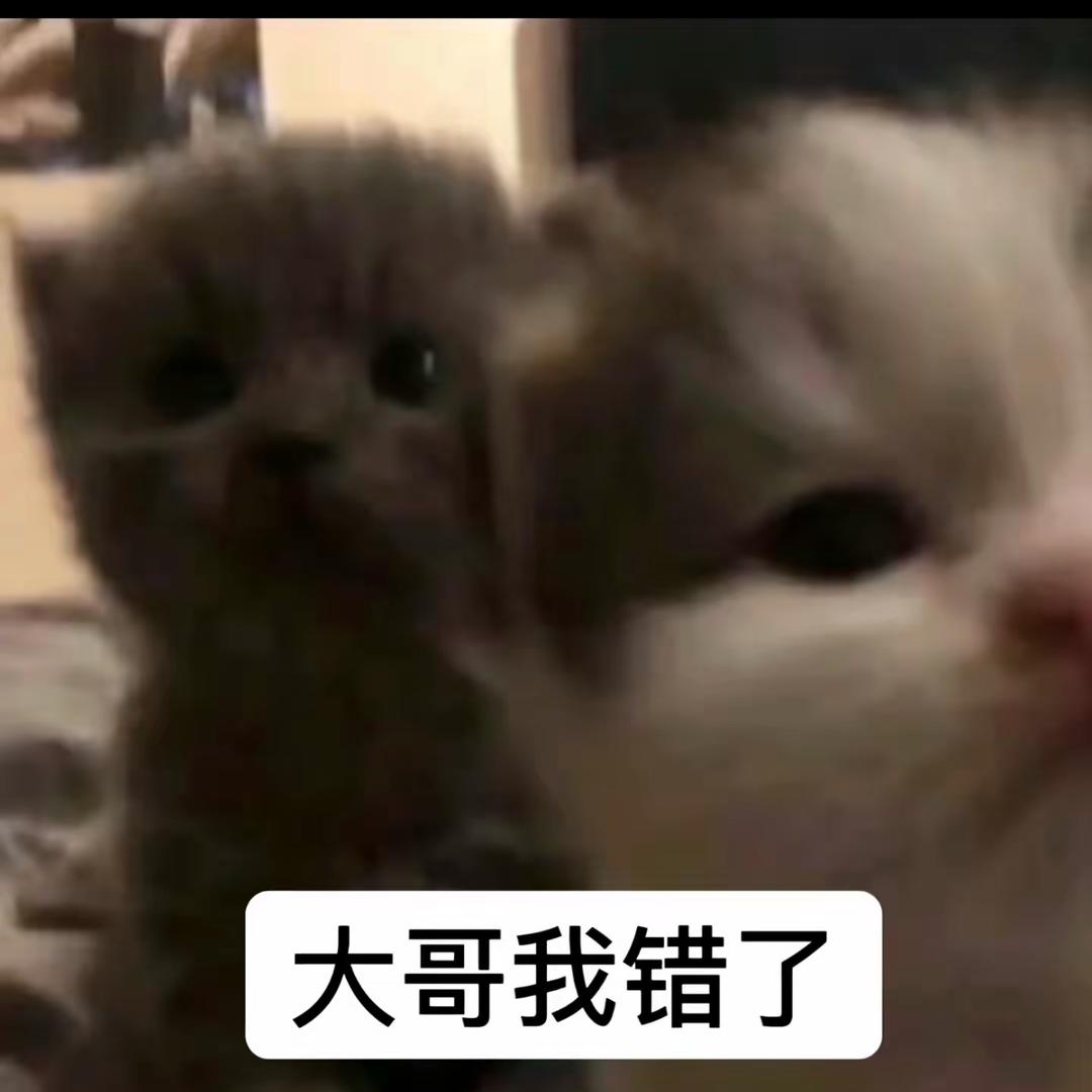 男人贵在稳重
