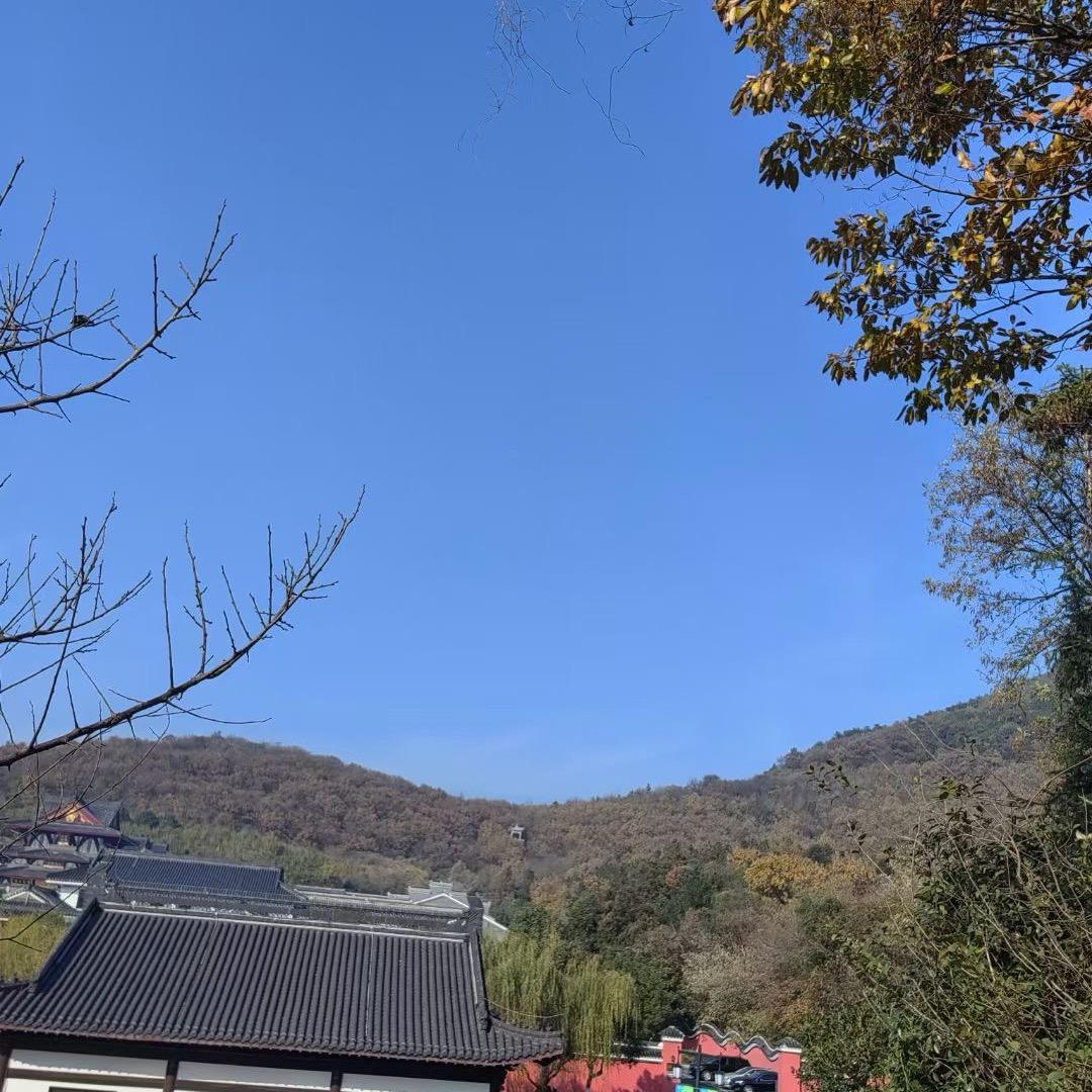 命运使然