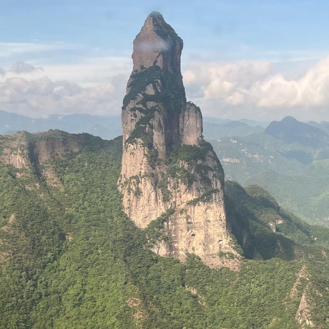胡王晶