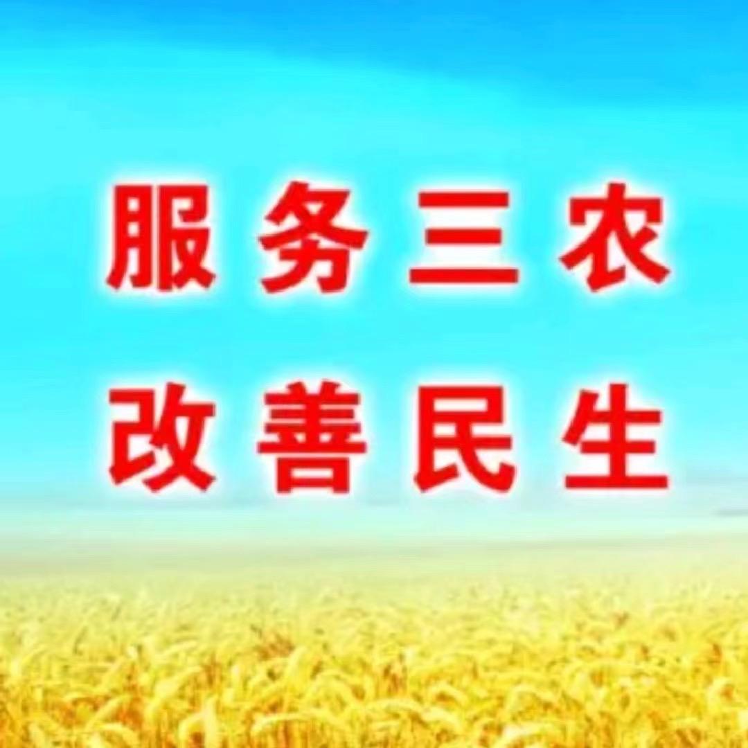 药谷梦伟