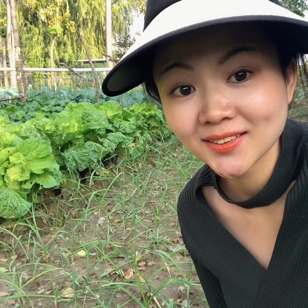 大丰收菜地