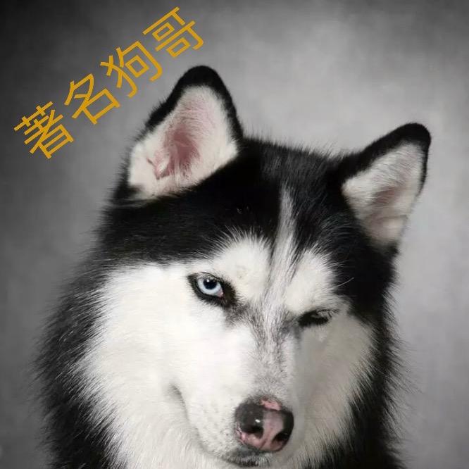 著名狗哥