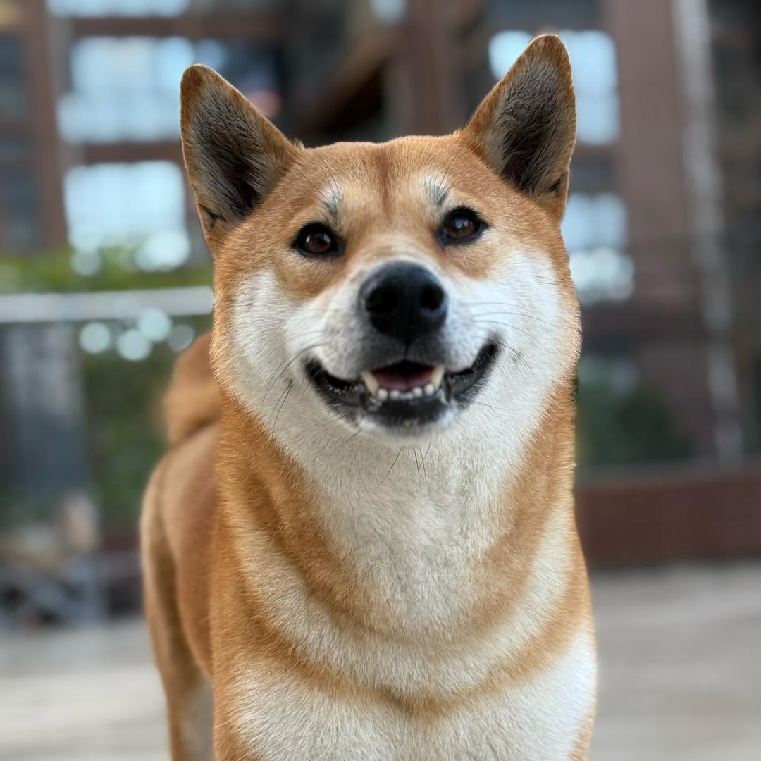 Bella妈妈