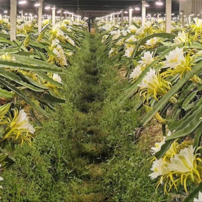 千润记果业店