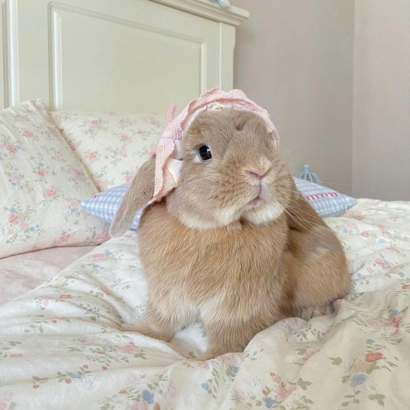 叫我鱿鱼.（见过阿Paul版）