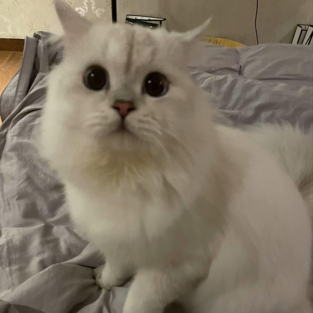 小猴子爱分享