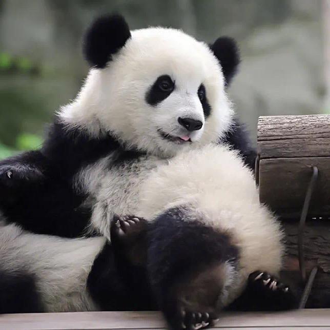 🌈🎱倾听🎱🌈