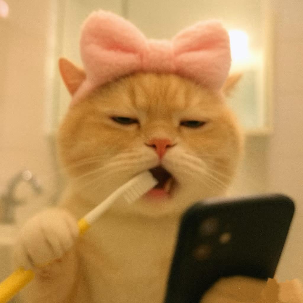 Ding 🐾 ᵕ̈