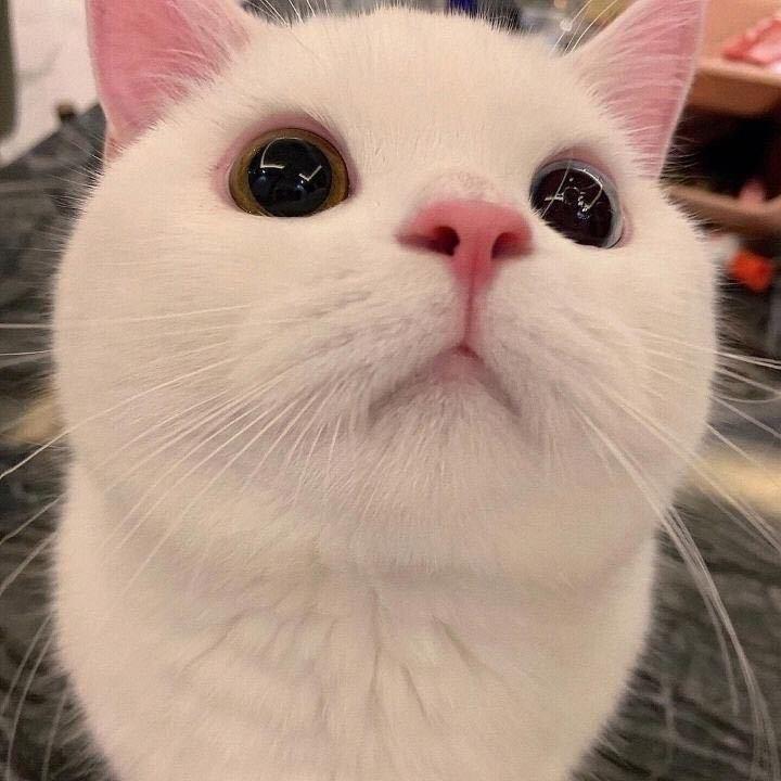 7ouik