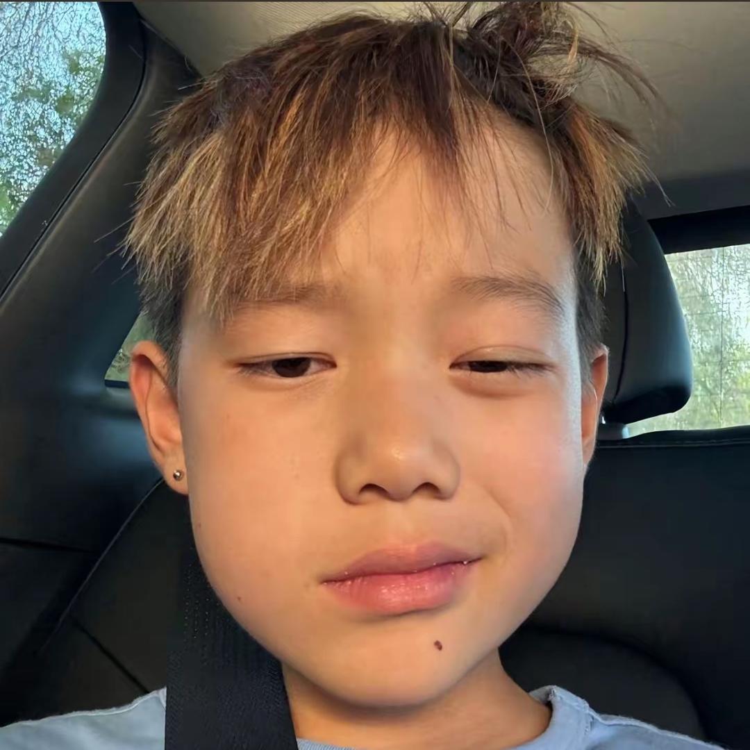 向阳开.