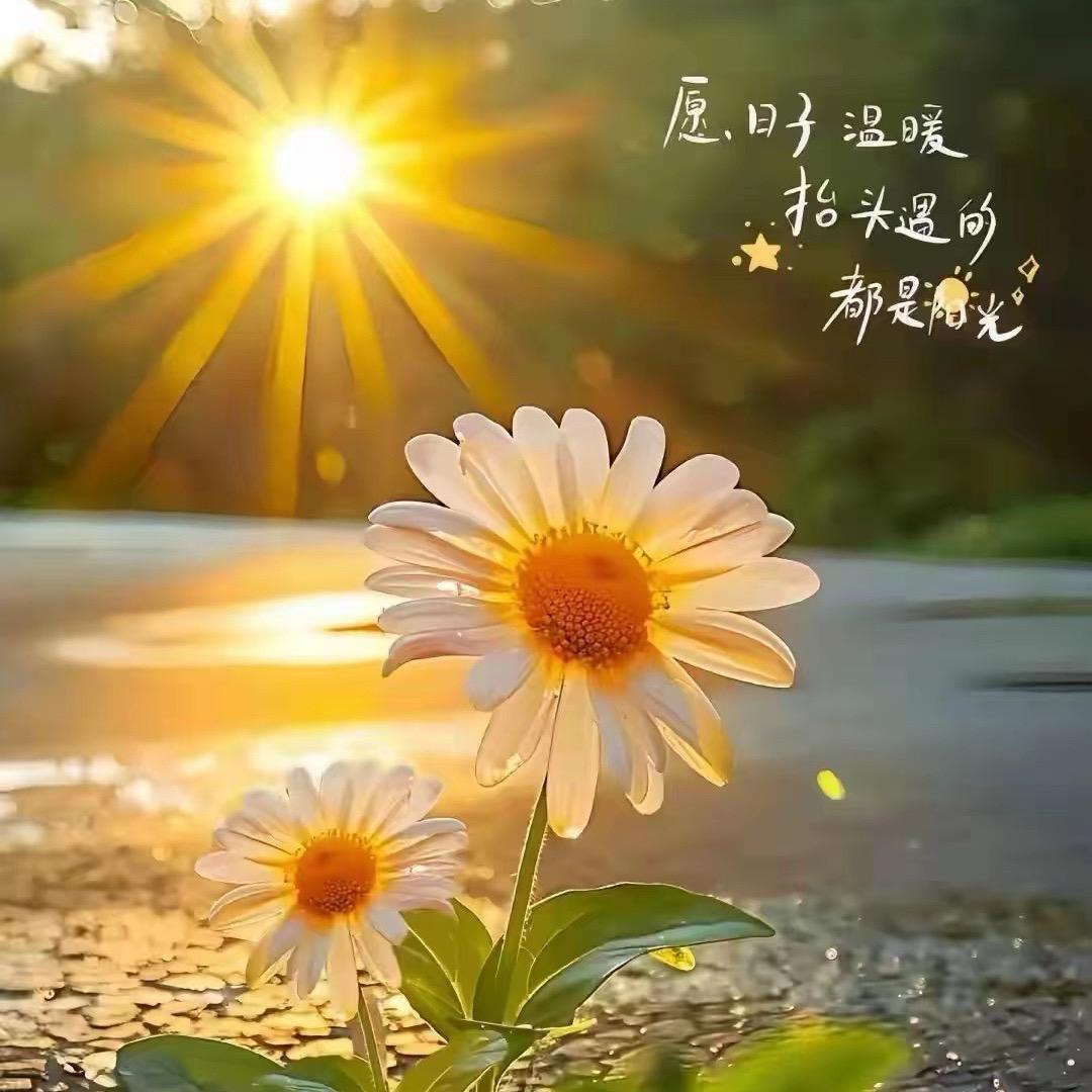 独来独往A