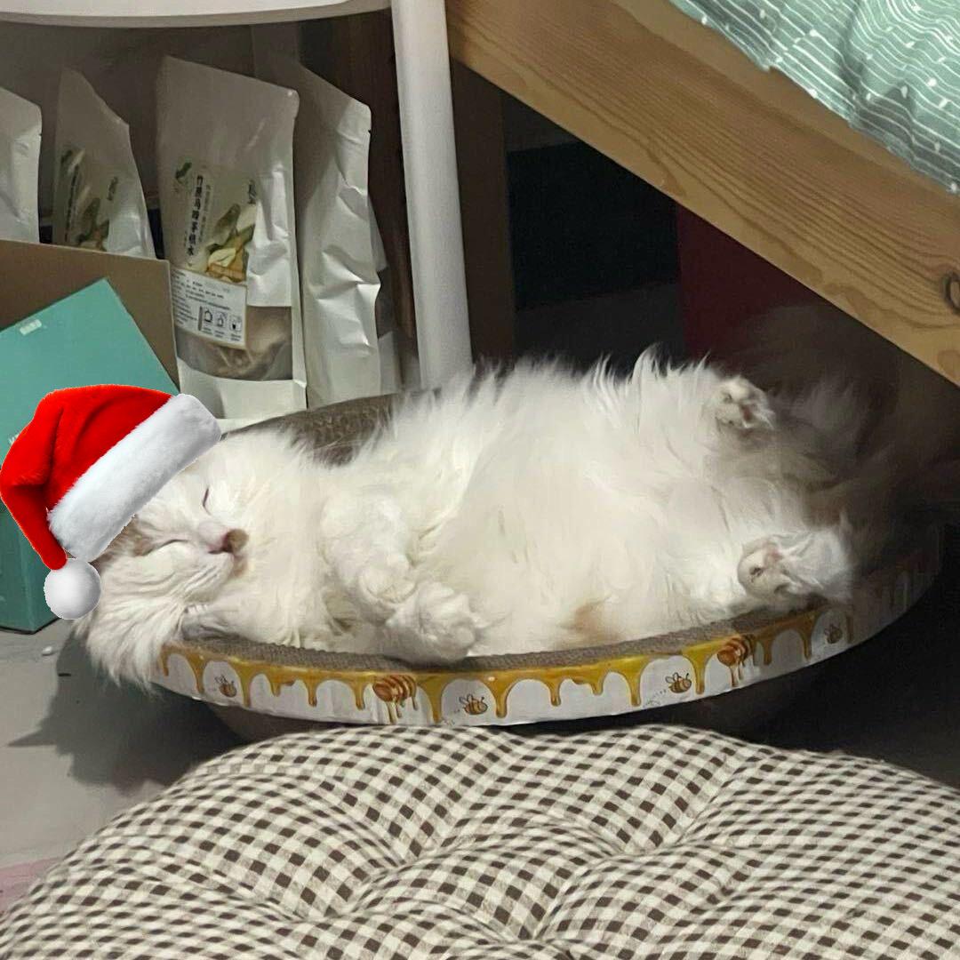 哦秦不攀睡（郑局段）