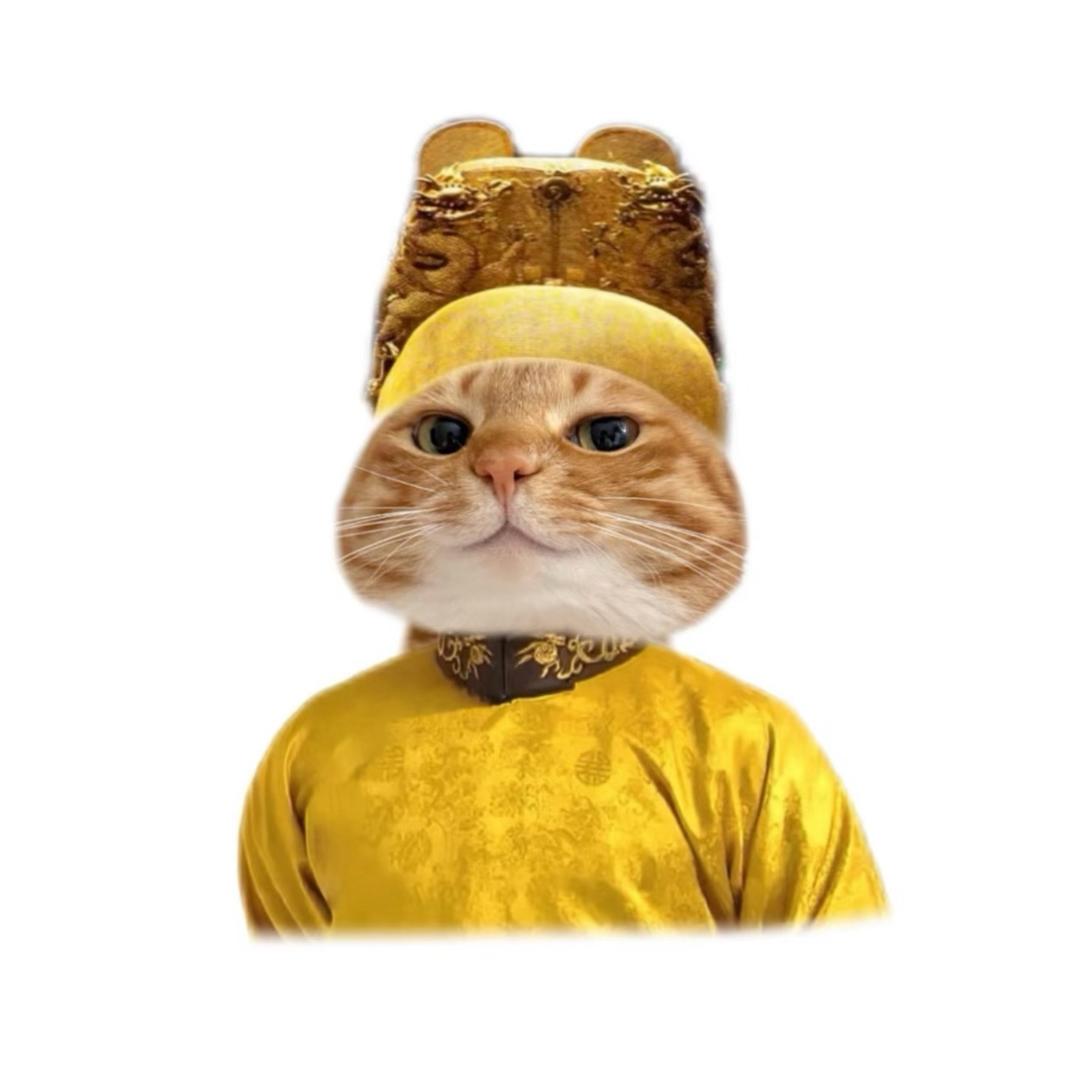 录给小孟的视频