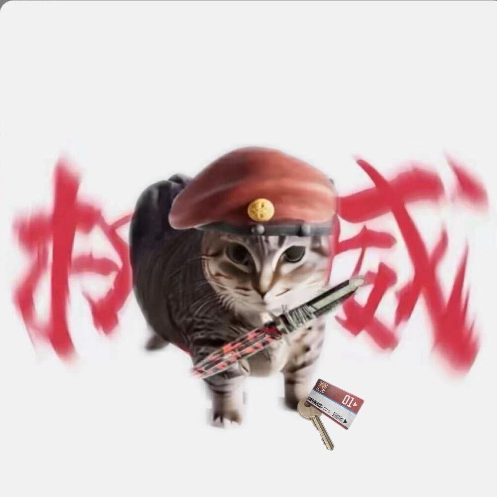 开朗的小学生『WAZ』 DOUDOU粉