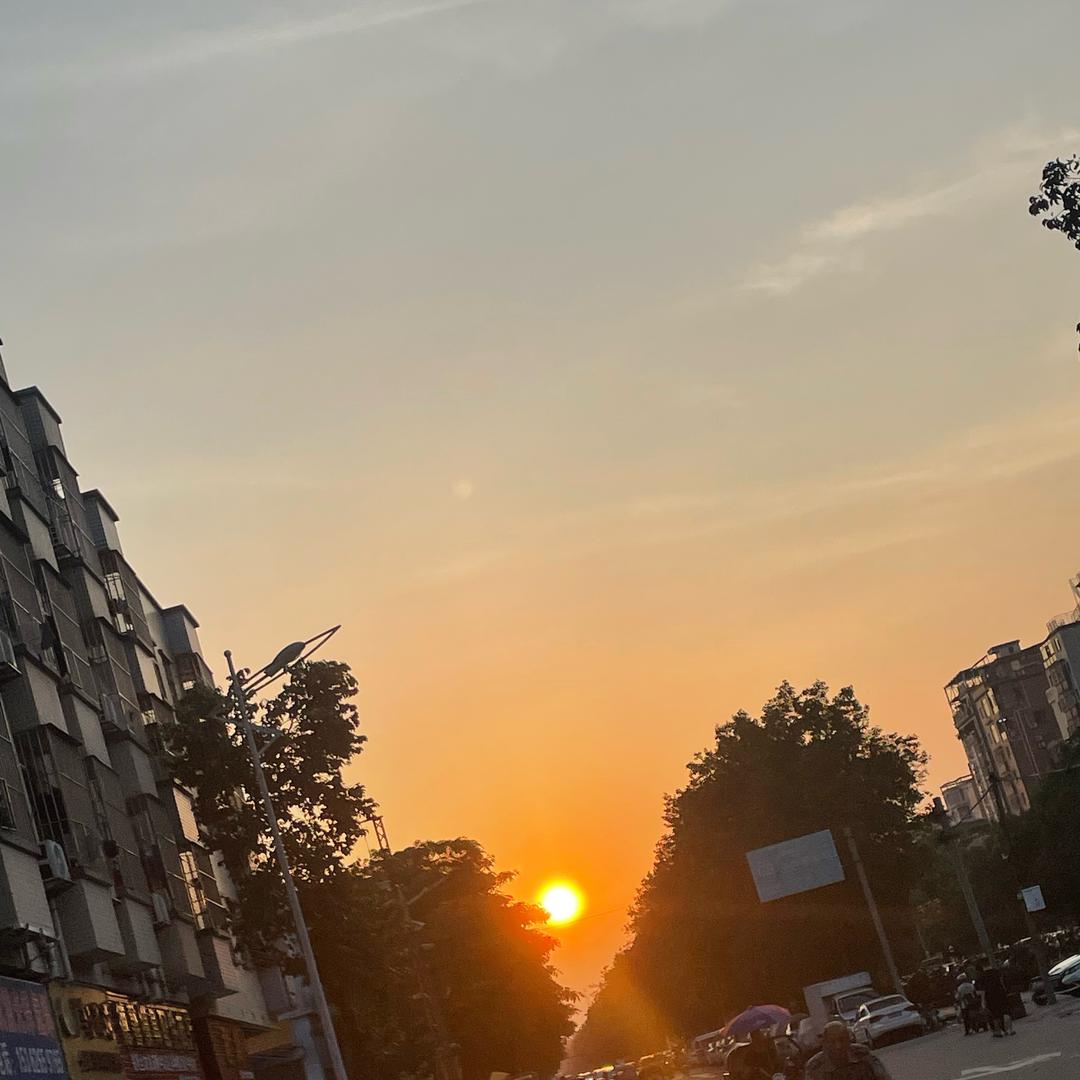 植物大战僵尸狂魔弟