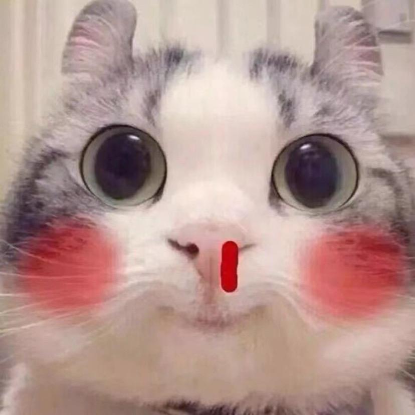🌈不语