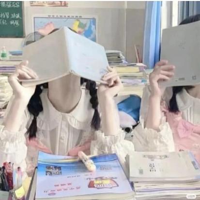 软萌猫崽崽😽