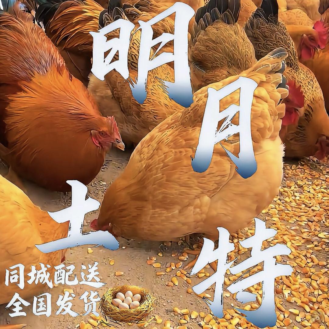 明月土特新鲜到家