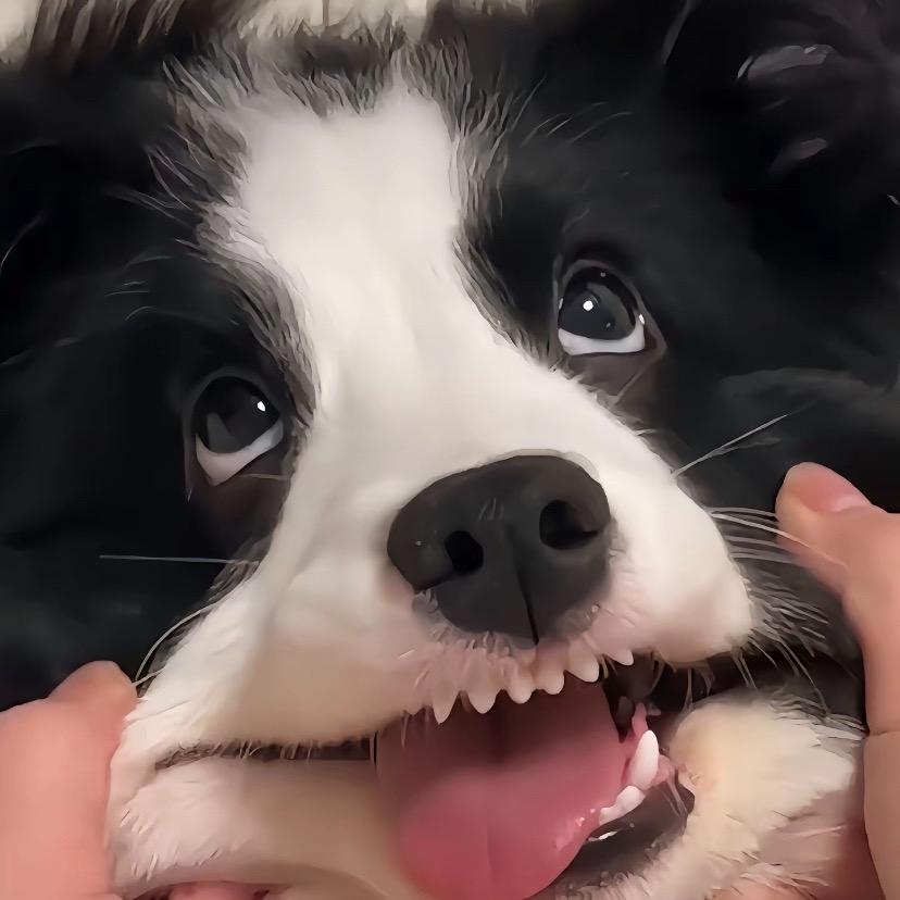 .葵葵头像