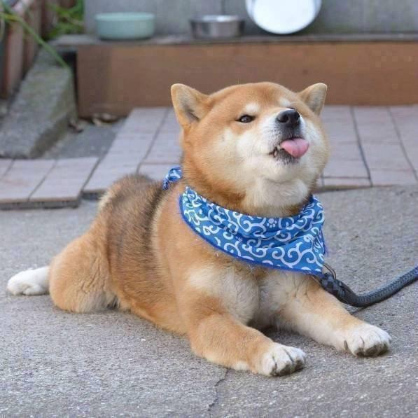 顺明