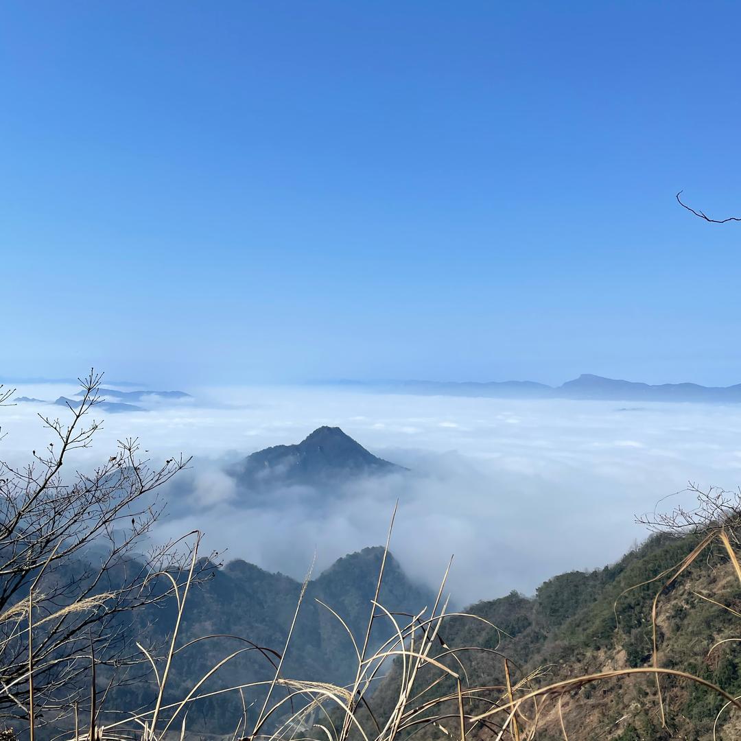 默默