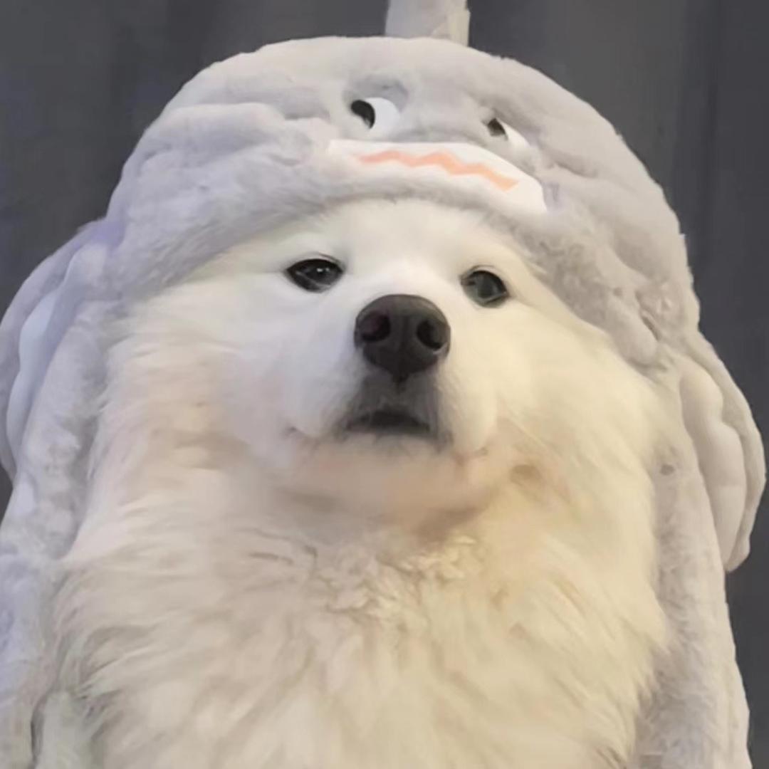 天鹿