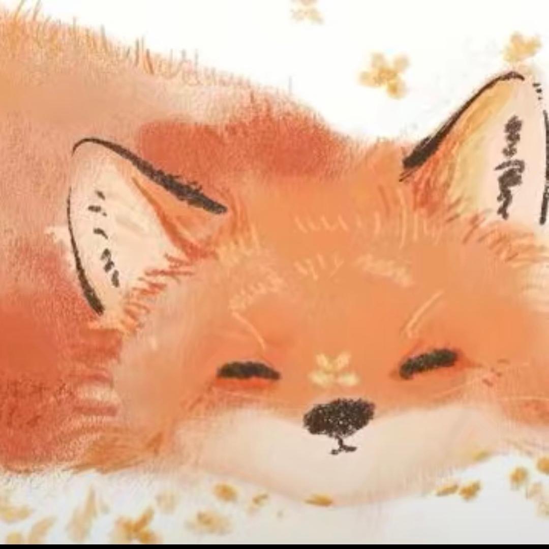 小🦊
