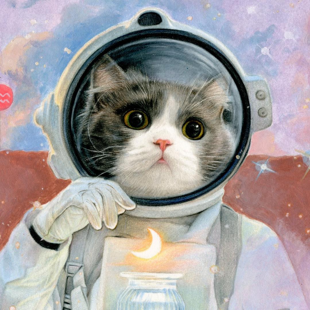 八块面条的麻麻🐱