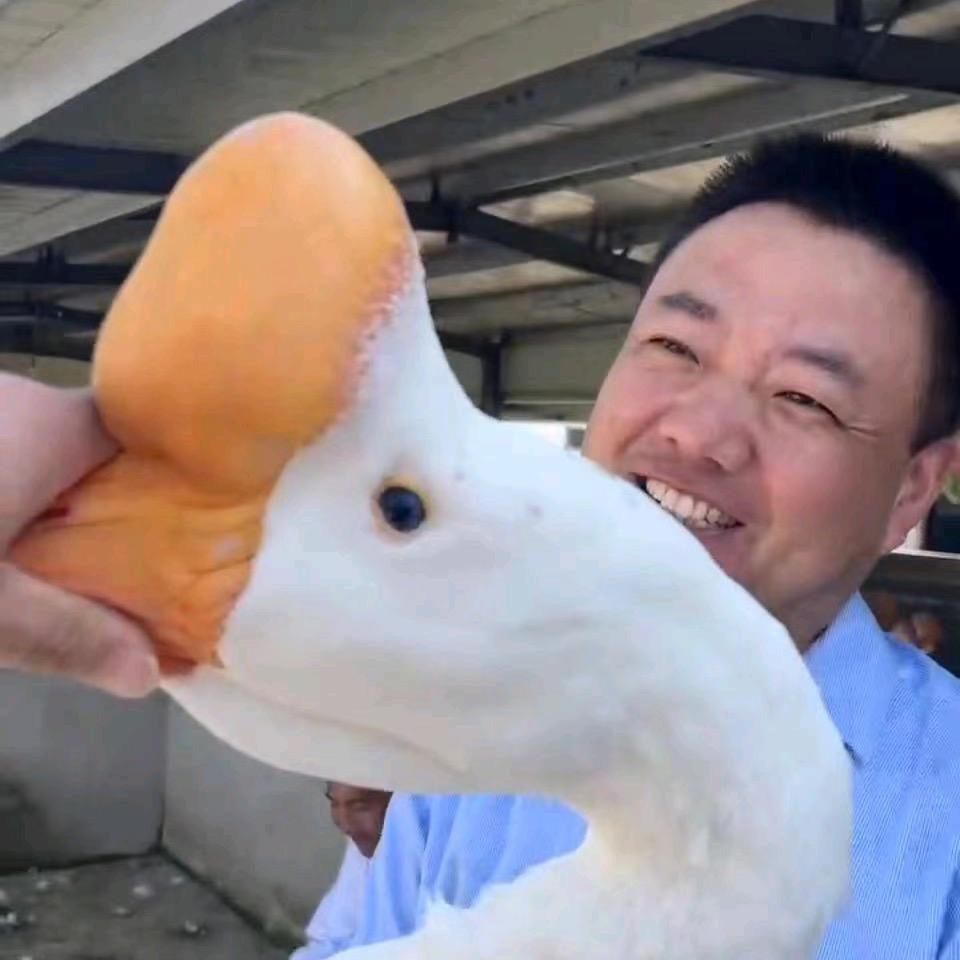 农村小哥（安徽展羽农业）