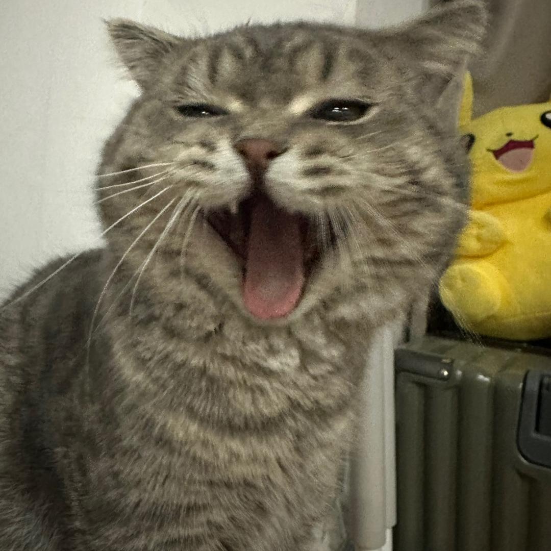 开心