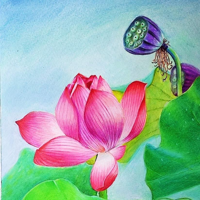 BoBo彩铅画