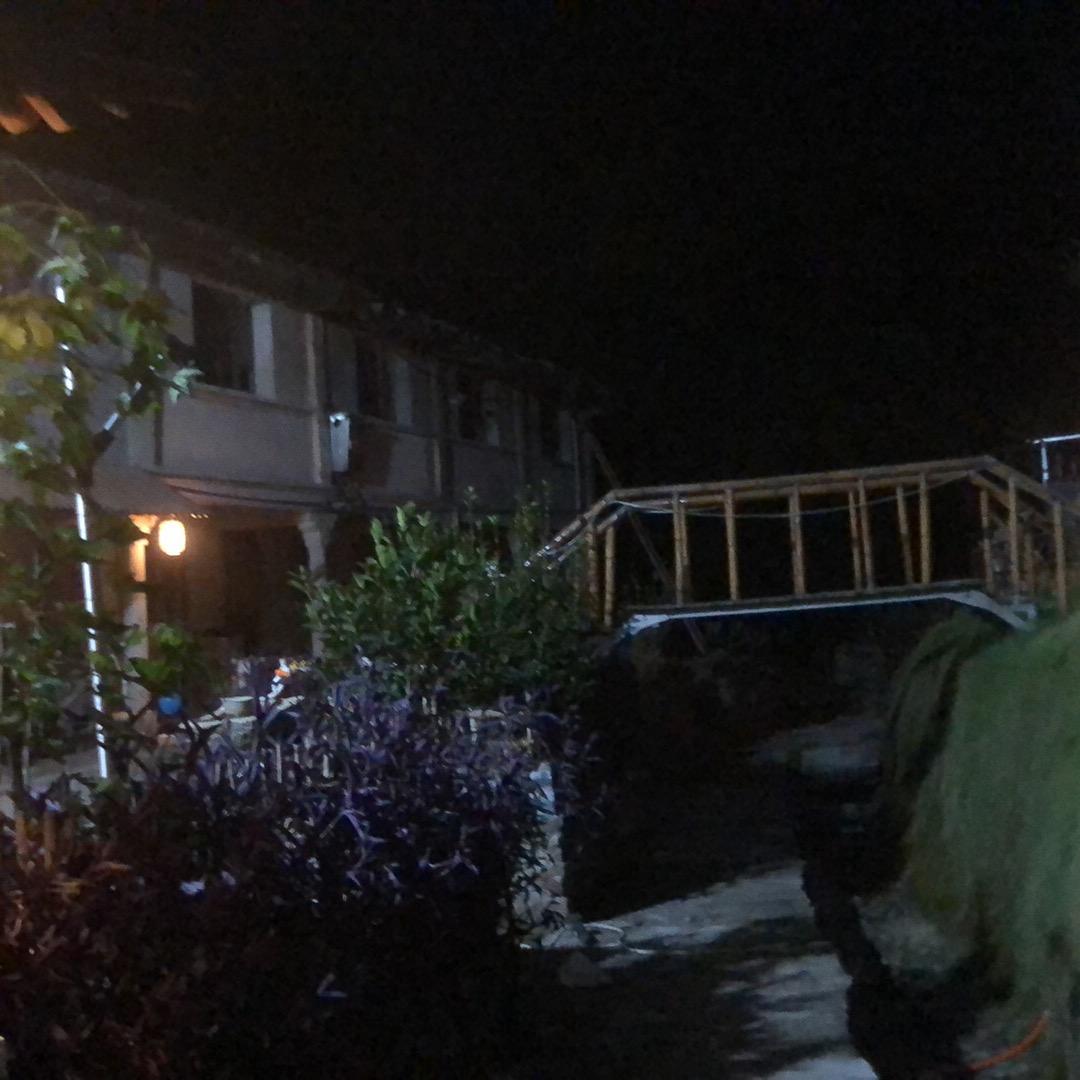毒💊药（山水养殖螺狮，民间传统灰塘鸭）