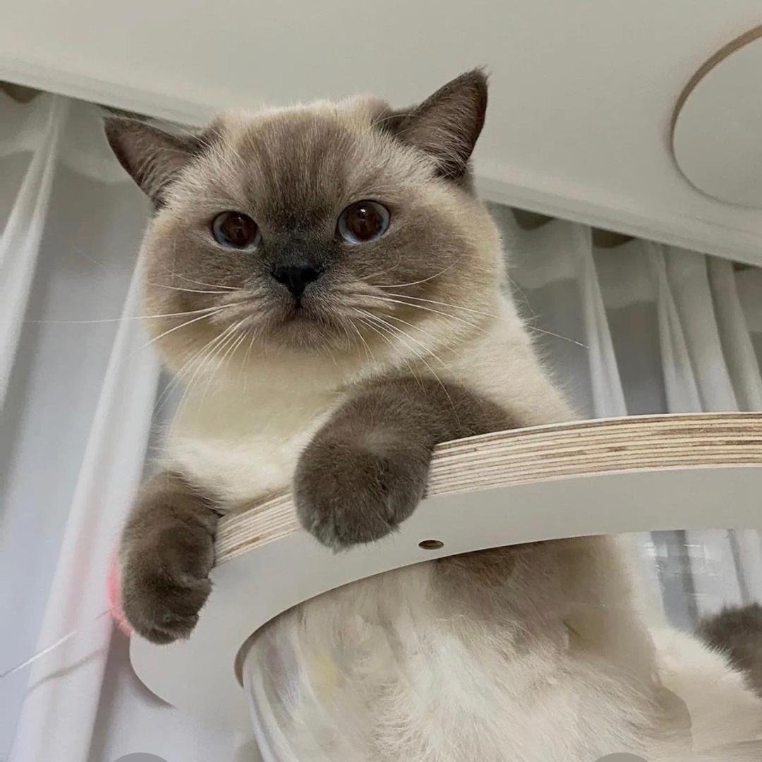 这次故事有结局