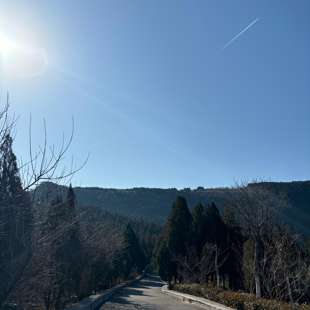 小米汤