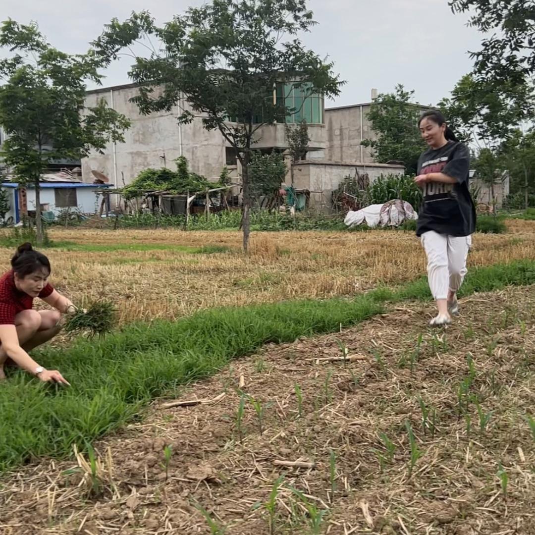 喇叭姐妹好物