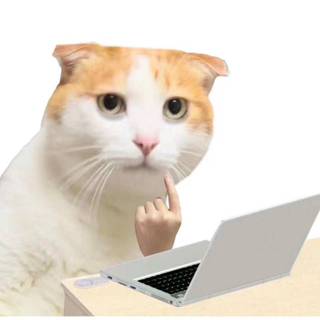 。。。。。。。。