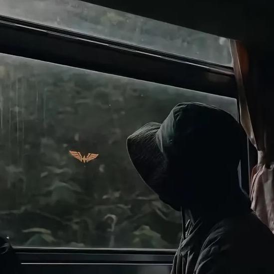 那就嘉吧(●—●)