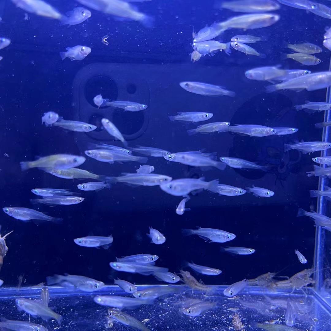 鑫盛云