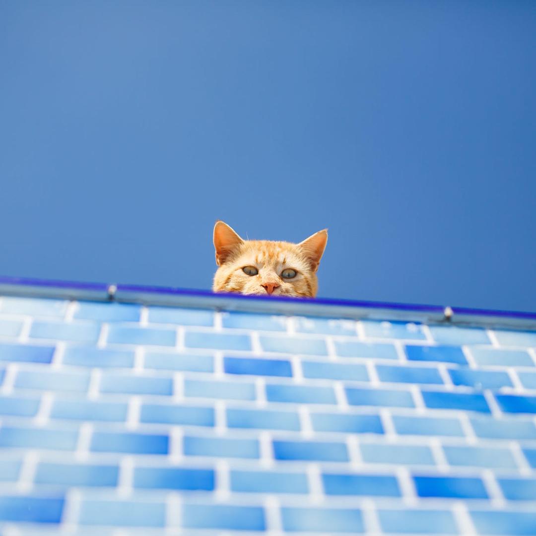 伍先生精选百货