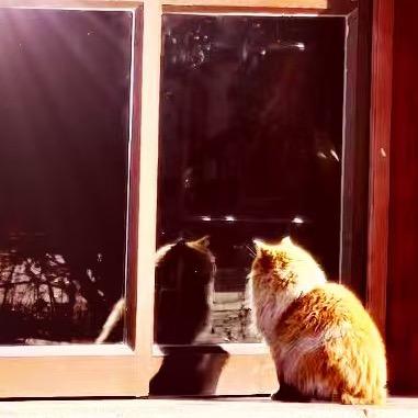 大头ㅤㅤㅤㅤㅤ