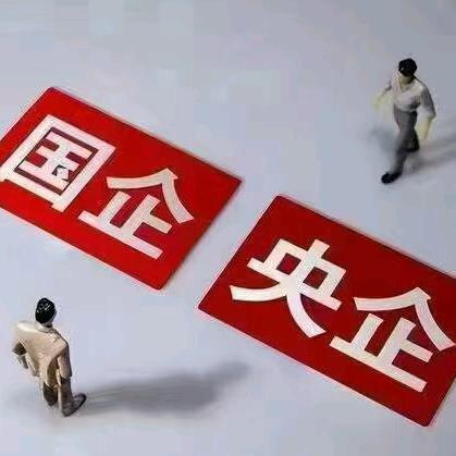 央国企就业指导老师