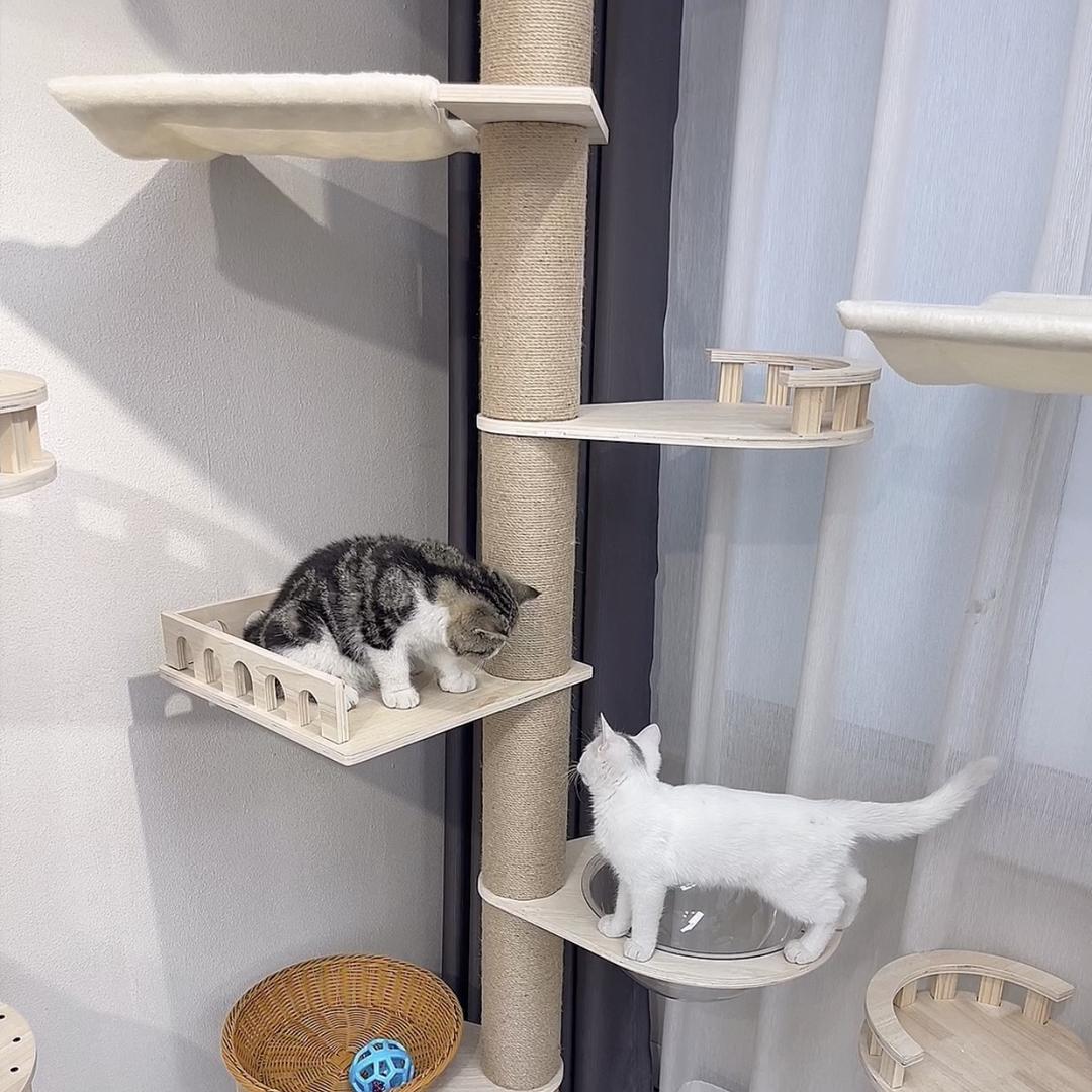 悠然熊宠物用品