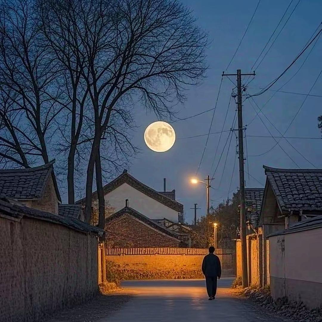 伊纯里-小钕直播号