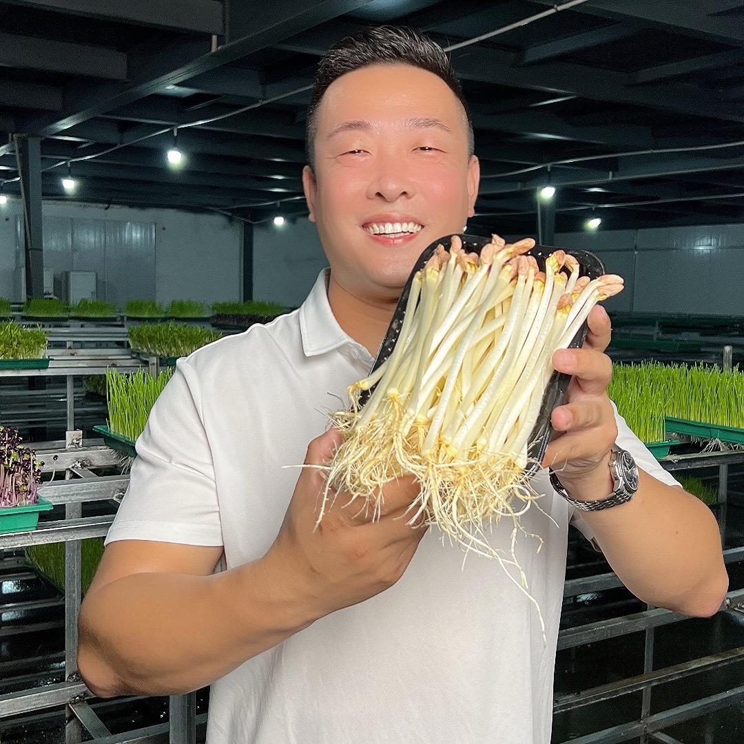 赵班长花生芽2号