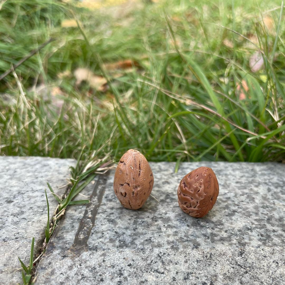 (中医推拿)，零元玩毛桃📿