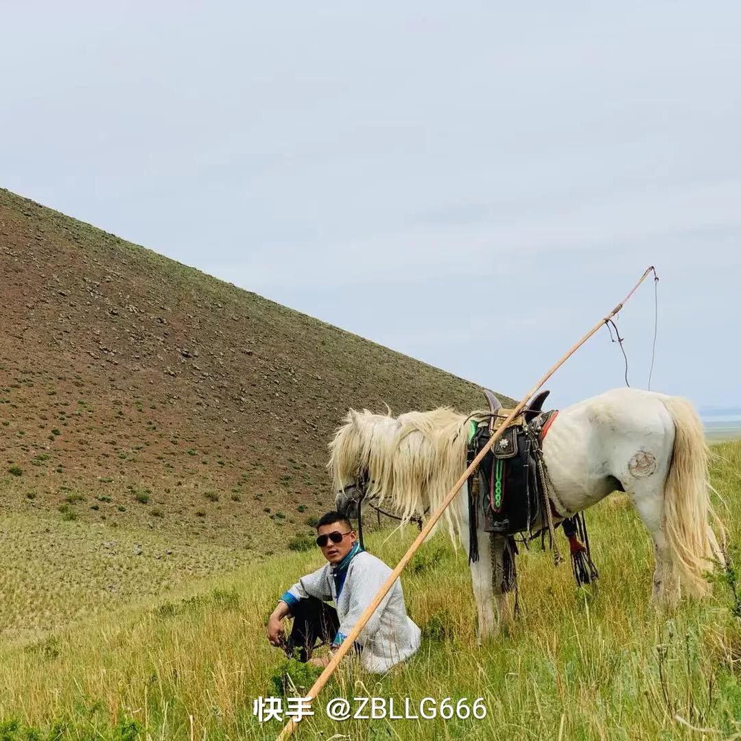 张北马匪乐乐哥